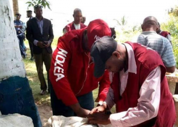 NDLEA recovers 7,136 kg illicit drugs from 90 dealers in Edo