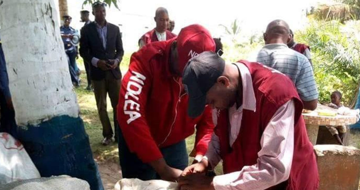 NDLEA recovers 7,136 kg illicit drugs from 90 dealers in Edo