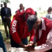 NDLEA recovers 7,136 kg illicit drugs from 90 dealers in Edo