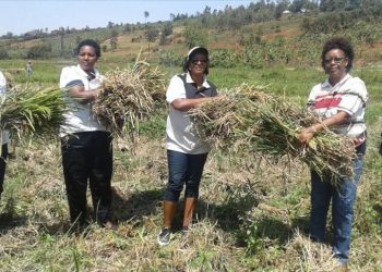 Small savings initiative helps empower Rwandan women