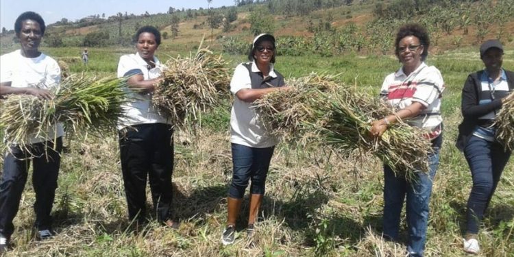 Small savings initiative helps empower Rwandan women