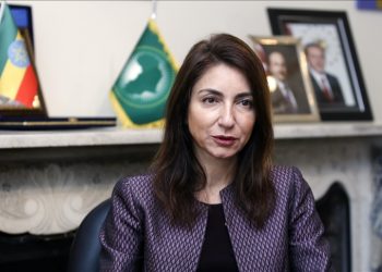 Africa-Turkey economic forum will boost trade, investment: Turkish official