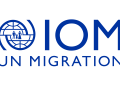UN migration agency condemns killing of illegal immigrants in Libyan detention center