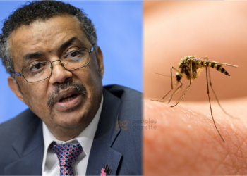 WHO approves first-ever malaria vaccine for widespread use