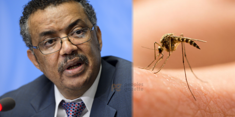 WHO approves first-ever malaria vaccine for widespread use