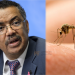 WHO approves first-ever malaria vaccine for widespread use