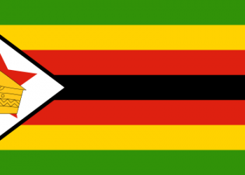 Zimbabwe fails to capitalize on Jacaranda flower season because of coronavirus restrictions