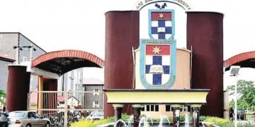 Governors Creating Universities For Political Reasons — Afe Babalola
