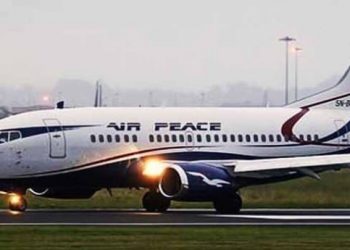 Bird Strike Forces Diversion Of Owerri-Lagos Bound Flight