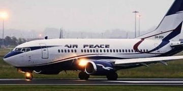 Bird Strike Forces Diversion Of Owerri-Lagos Bound Flight