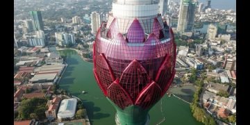 Experts, business leaders say BRI promotes global development