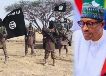 India supporting Buhari regime to fight Boko Haram: Envoy