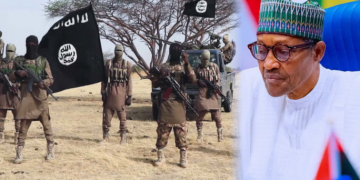 India supporting Buhari regime to fight Boko Haram: Envoy
