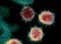 Super mutant Covid strain triggers emergency response