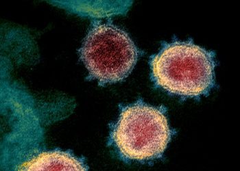 Super mutant Covid strain triggers emergency response