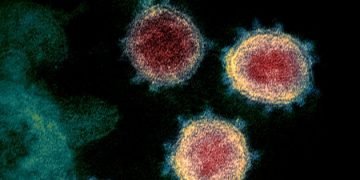 Super mutant Covid strain triggers emergency response