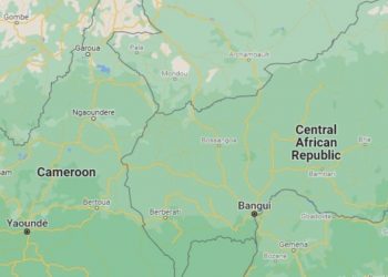 Cameroon, CAR Raise Concerns About Border Security