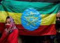 Ethiopians joining army out of free will as they see enormous threat to nation: Diplomat