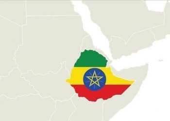 Ethiopian prime minister joining war is ‘sick joke’: Tigray rebels