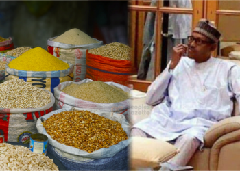 Buhari regime’s heavy taxes causing food prices to rise: Nigerian Farmers