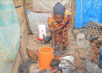 Gabon implements new labor code to remove gender-based inequalities, discrimination