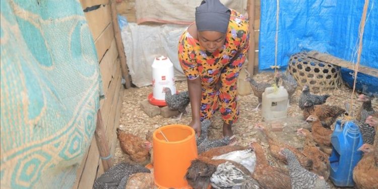 Gabon implements new labor code to remove gender-based inequalities, discrimination