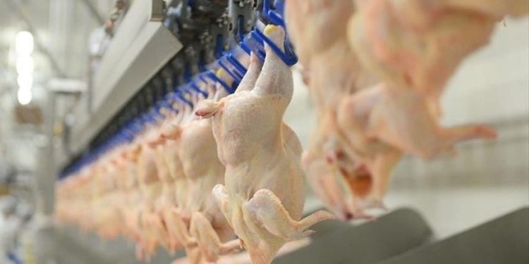 World market for halal products reaches $7T