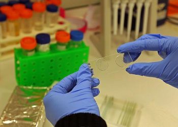 Cameroonian finds way to use tree to fight leukemia