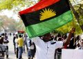 AnambraDecides: Lawmaker begs IPOB not to disrupt election