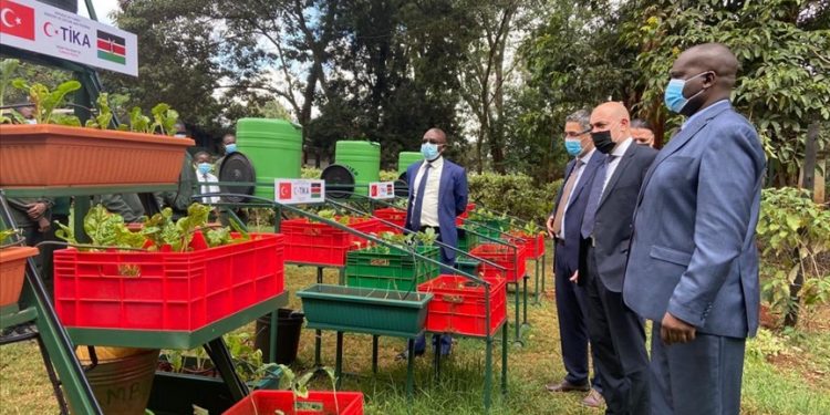 Thousands of Kenyan students start building agricultural skills via Turkish project
