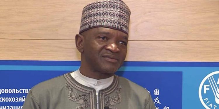 FG Moves To Check Illegal Importation Of Rice Through Land Borders