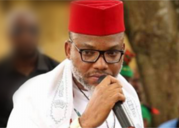 IPOB are troublemakers seeking FG’s attention, says Kaduna PDP chieftain