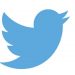 Twitter suspends trends feature in Ethiopia for fear of violence escalation