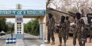 Our resilience against Boko Haram earned us N2 billion: UNIMAID VC