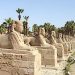 After decades of work, Egypt to open 3,000-year-old Avenue of Sphinxes