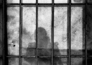 Sudan releases 3 more political detainees