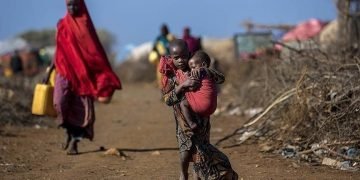 ‘Children at heightened risk of abuse in Zimbabwe’