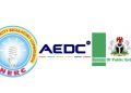 Buhari regime names new management for AEDC