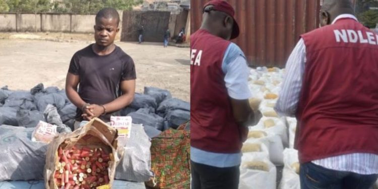 NDLEA intercepts 64,000 pump action cartridges, rescues 34 children from traffickers