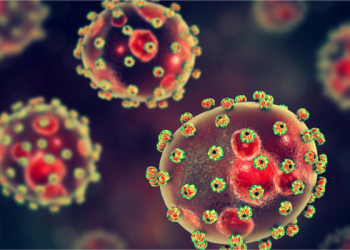 Bauchi records 153 Lassa fever cases in 2021