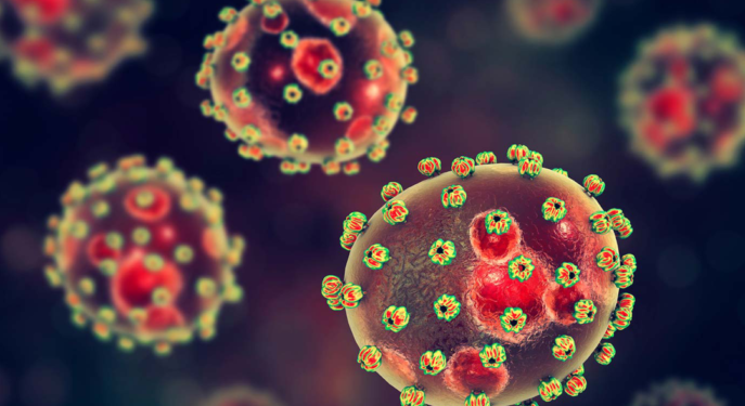 Bauchi records 153 Lassa fever cases in 2021