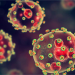Bauchi records 153 Lassa fever cases in 2021