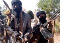 We’re battle-ready against bandits in Niger: Police