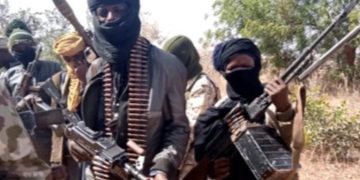 We’re battle-ready against bandits in Niger: Police
