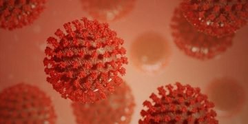 Omicron variant officially confirmed in 4 African countries