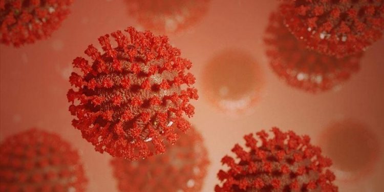 Omicron variant officially confirmed in 4 African countries