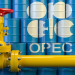 $11.8 trillion investments needed in oil sector: OPEC