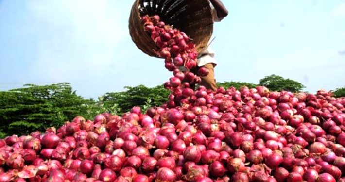 Farmers launch new onions bags to reduce post-harvest loss