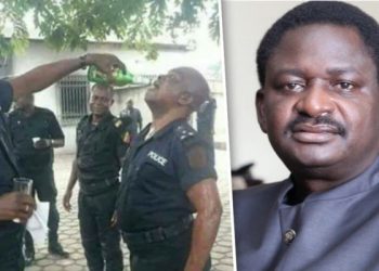 Policemen are article of no commercial value: Femi Adesina