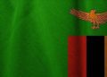 Zambia to scrap fuel, electricity subsidies as part of IMF program